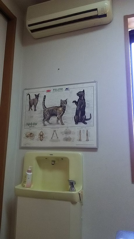 診察室（猫）画像2